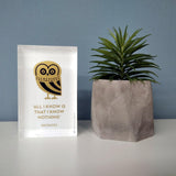 Owl of Athens decorative design object - paper weight. Double sided. Plexiglass art, screenprint, lazer cut & hand polished. Unique silkscreen method decoration idea