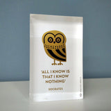 Owl of Athens decorative design object - paper weight. Double sided. Plexiglass art, screenprint, lazer cut & hand polished. Unique silkscreen method.