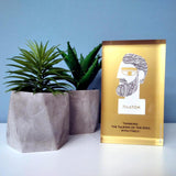 Plato, the philosopher decorative design object - paper weight. Double sided. Plexiglass art, screenprint, lazer cut & hand polished. Unique silkscreen method, decoration idea, made in Greece