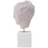 pow pink hygeia head goddess of hygiene (Hygieia)with quote about all in good measure (left side)