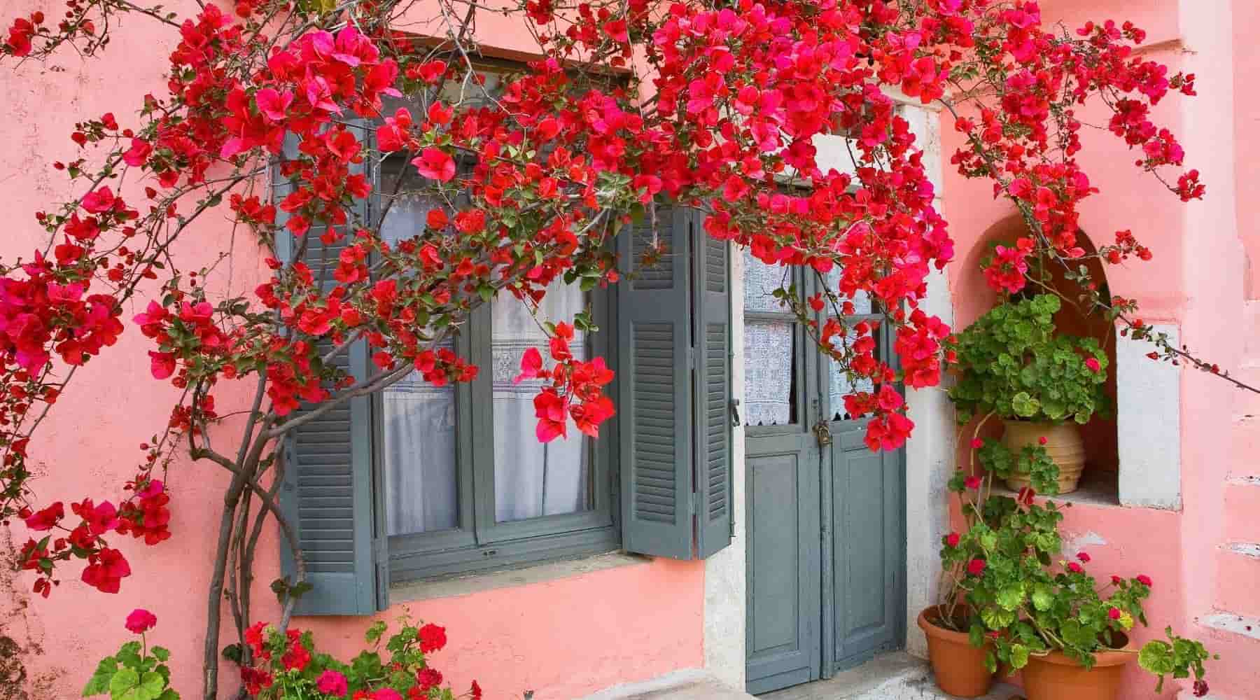 7 Ways to Make Your Home Feel Like Greek Heaven
