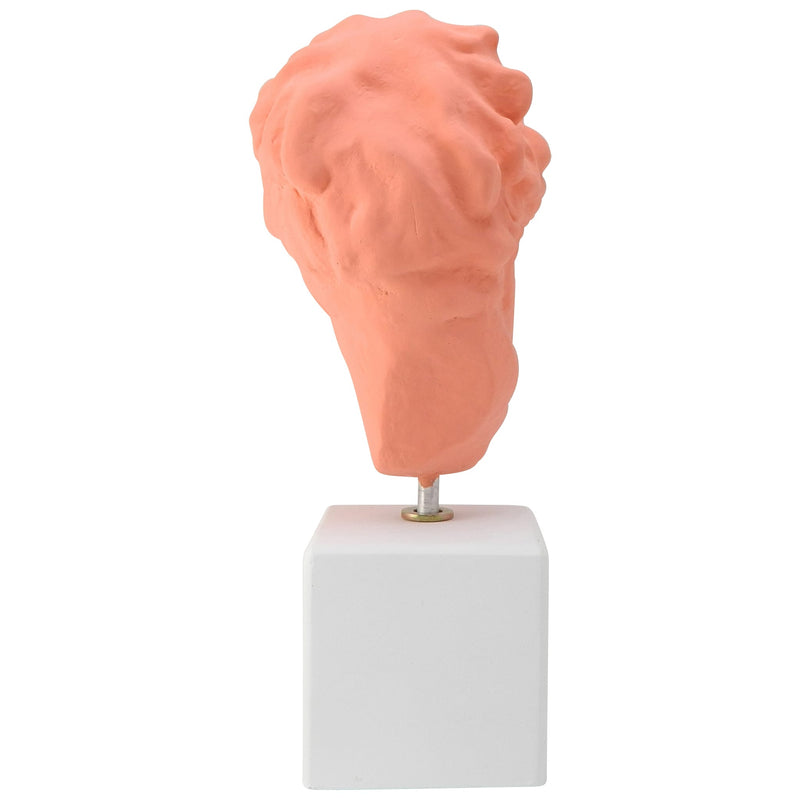 Coral colored Hygeia goddess of hygiene (Hygieia) head with quote (back)