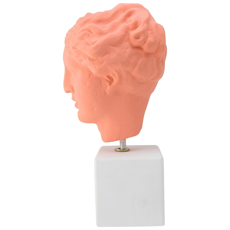 Coral colored Hygeia goddess of hygiene (Hygieia) head with quote (side)