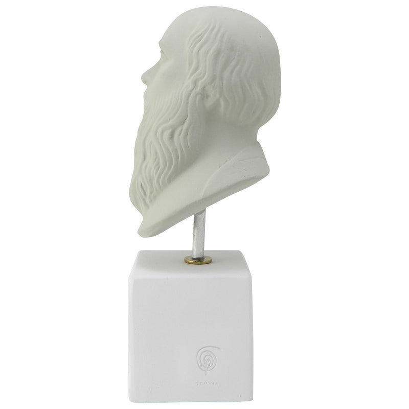 Ice Grey Bust of Socrates with quote I know one thing that i know nothing - ancient Greek philosopher (side)