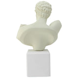 famous Greek statue - bust replica - Ice White Bust Hermes of Praxiteles in Olympia (back)
