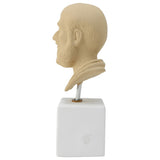 sepia bust hippocrates with quote about make a habbit (side)